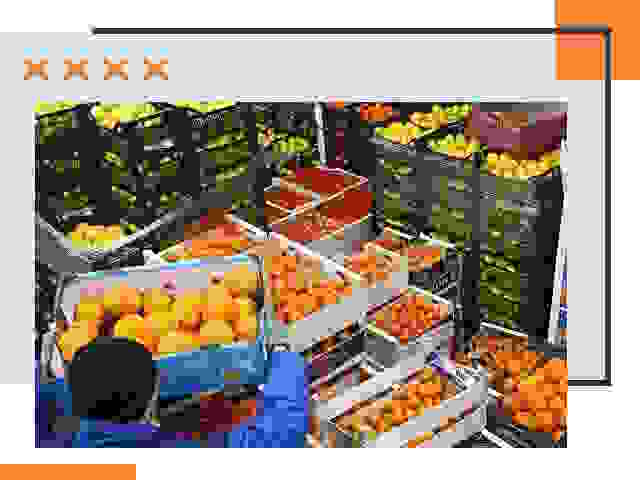 Перевозка скоропортящихся продуктов в Павлово